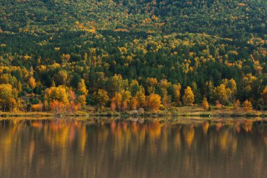 Sonbahar yansımaları göl