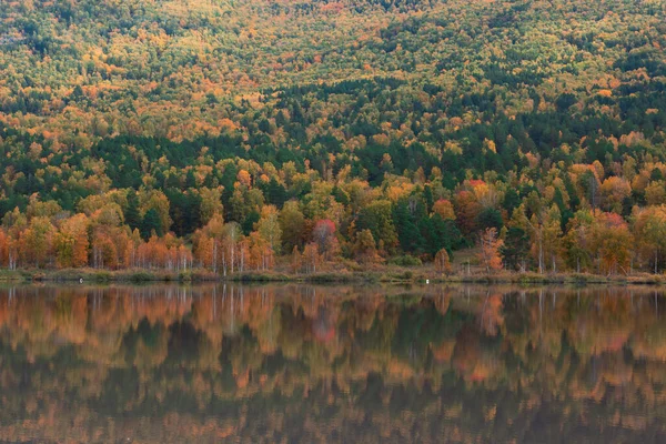 Lago de reflexões de outono — Fotografia de Stock