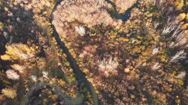 Jesienny krajobraz lotniczy z rzeką — Wideo stockowe