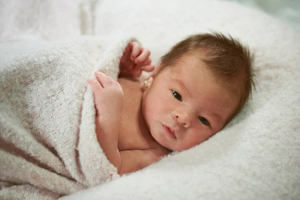 Infant baby portrait — Stock Photo, Image