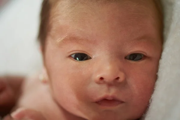 Macro close-up portrait of newborn — Stock Photo, Image