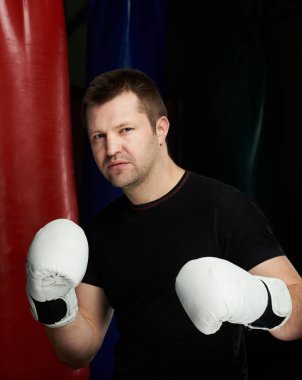 Beyaz sağlıklı boksör