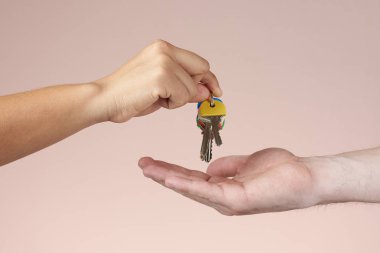 Satış house online Tema