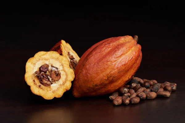 Vaina de cacao abierta natural — Foto de Stock