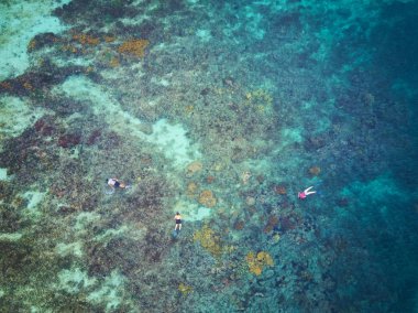 İnsanlar dalış faaliyet görünümünün üst