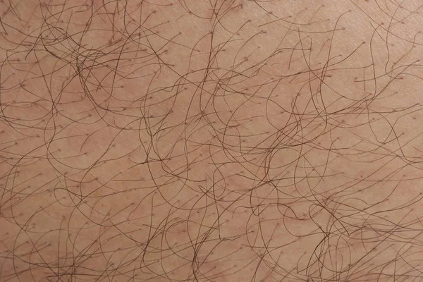 I capelli provengono dai pori della pelle umana — Foto Stock