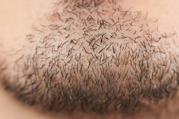 Черные волосы бороды — стоковое фото