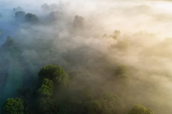 Mgła nad łąka — Zdjęcie stockowe