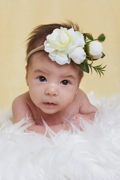 Retrato do bebê recém-nascido — Fotografia de Stock