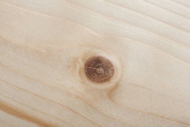 Şube ahşap tahta üzerinde spot