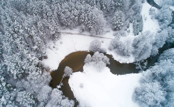 Белые снежные деревья вид с воздуха — стоковое фото