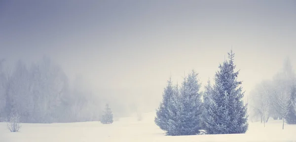 Χριστουγεννιάτικη φύση. Τοπίο ομίχλη χειμώνα. — Φωτογραφία Αρχείου