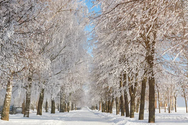 Camino nevado del callejón del invierno — Foto de Stock