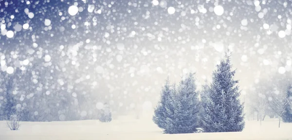 Fondo de Navidad. ventisca de Navidad en el parque . — Foto de Stock