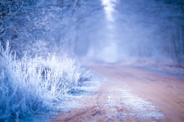 Осенний мороз — стоковое фото