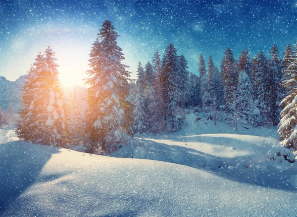 Inverno nevicate natalizie — Foto Stock