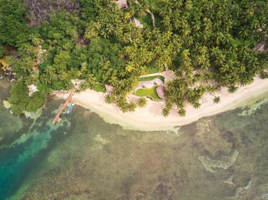 Yeşil topikal Adası