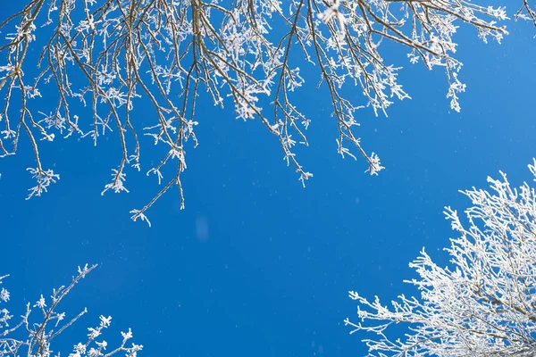 Tema temporada de invierno —  Fotos de Stock