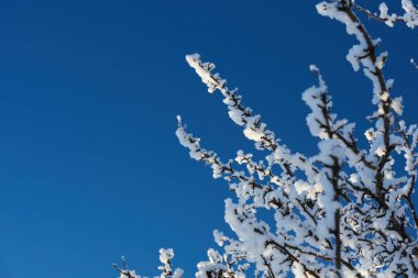 kış mavi gökyüzü