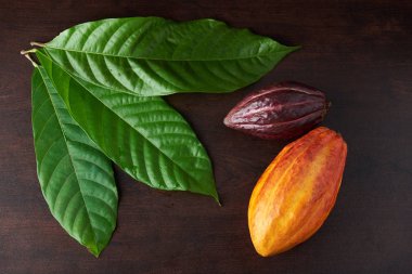 Kakao yaprağı ve bakla