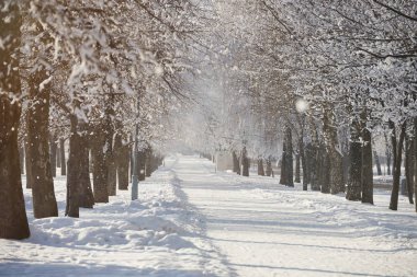 Karlı kış gün arka plan