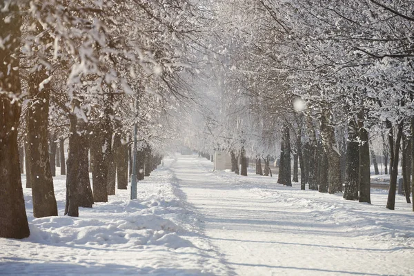 Karlı kış gün arka plan