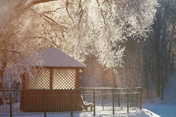 Tema soleado nevadas de invierno — Foto de Stock