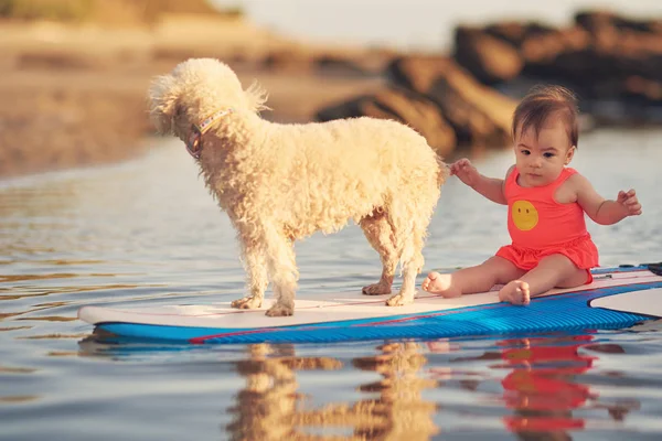 Niña con perro en tabla de surf —  Fotos de Stock