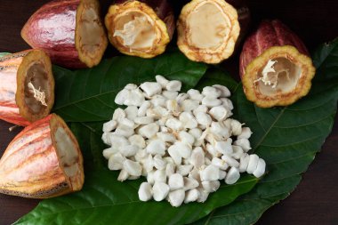 Ham kakao chocoalte meyve