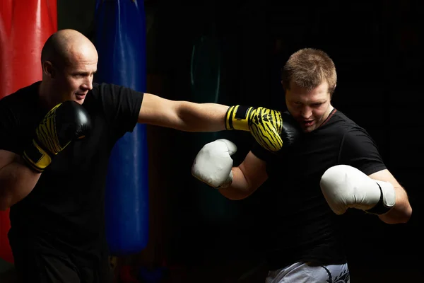 One boxer making knockout