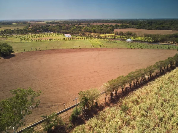 Uncultivated Brown Field Drone View Sunny Day — Stock Photo, Image
