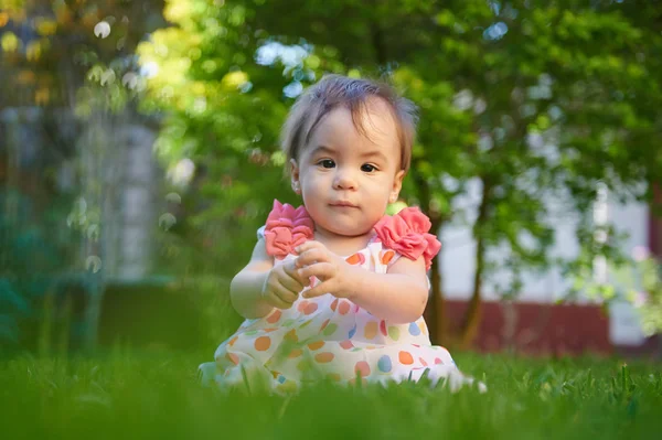 Ritratto Bambina Seduta Sfondo Verde Erba — Foto Stock