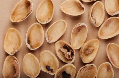 Boş kahverengi kabukları