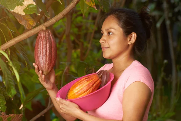 Młoda kobieta rolnik z strąki kakao — Zdjęcie stockowe
