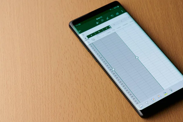 Microsoft oficina excel grid — Foto de Stock