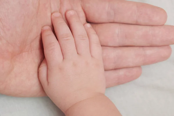 Baby hand on top of parent palm — Stock Photo, Image