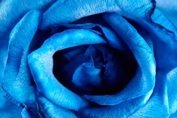 Естественный синий абстрактный фон — стоковое фото