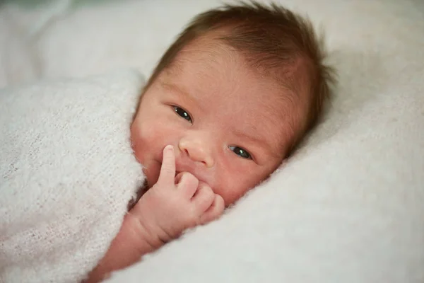 Милий новонароджений портрет малюка — стокове фото