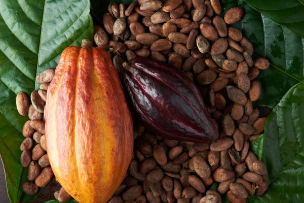 Какао фруктовая тема — стоковое фото