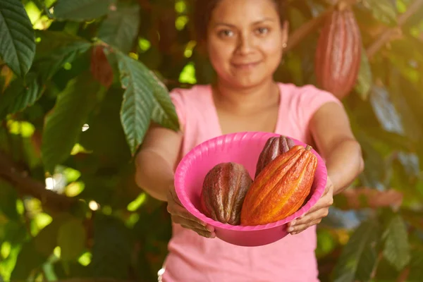 Young woman holding cacao rip