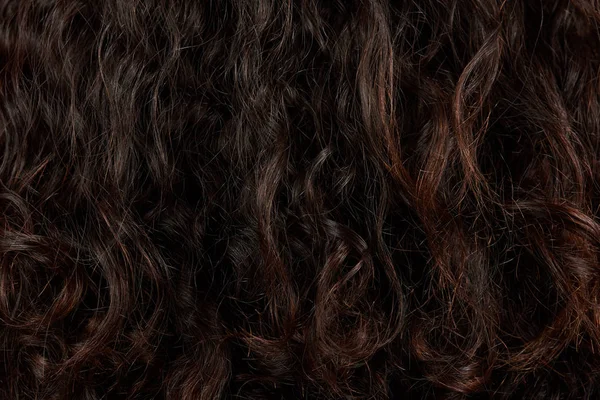 Sötét göndör haj Vértes — Stock Fotó