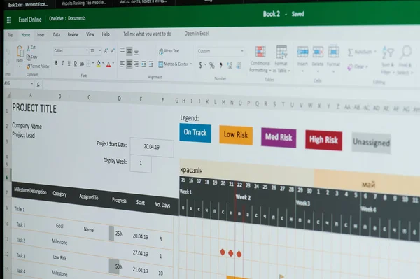 Microsoft excel online proje