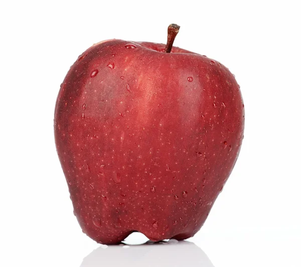 Jedno červené jablko s rosou — Stock fotografie