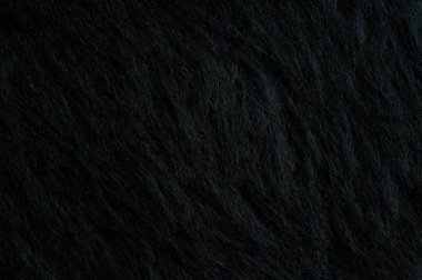 İnek siyah kürk tetxure