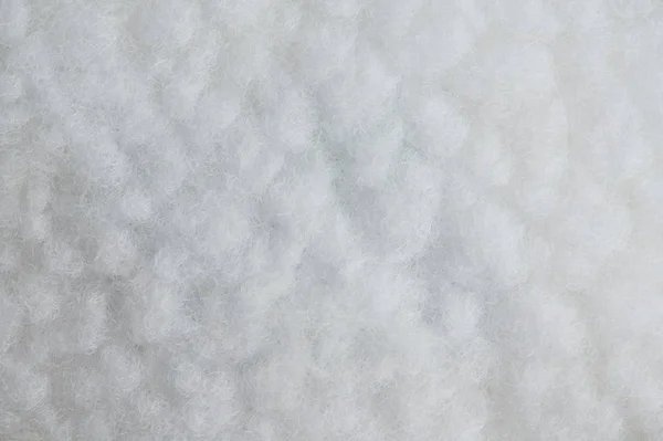 White lamb fur — Stock Photo, Image