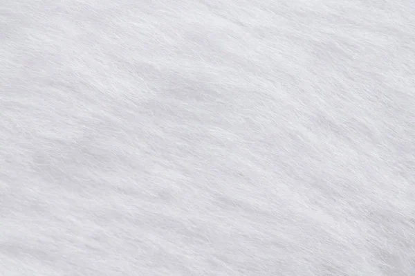 Белый мех кролика — стоковое фото