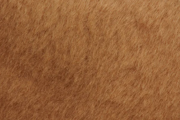 Короткий коричневый мех — стоковое фото