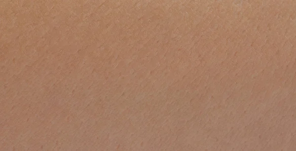 Lapos barna emberi bőr textúrája — Stock Fotó
