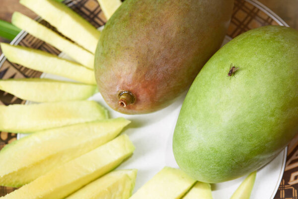 Passing  disease throw insect