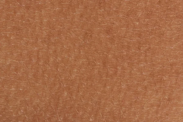 Primer plano de la textura de la piel — Foto de Stock